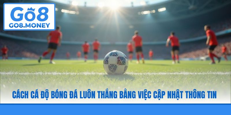 Cách cá độ bóng đá luôn thắng bằng việc cập nhật thông tin