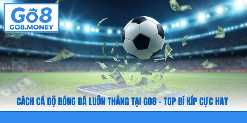 Cách Cá Độ Bóng Đá Luôn Thắng Tại GO8 - Top Bí Kíp Cực Hay
