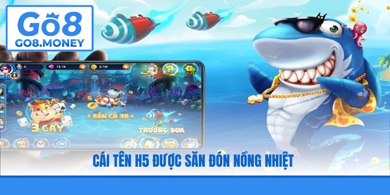 Cái tên H5 được săn đón nồng nhiệt