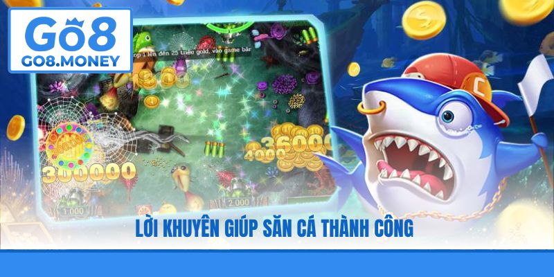 Lời khuyên giúp săn cá thành công